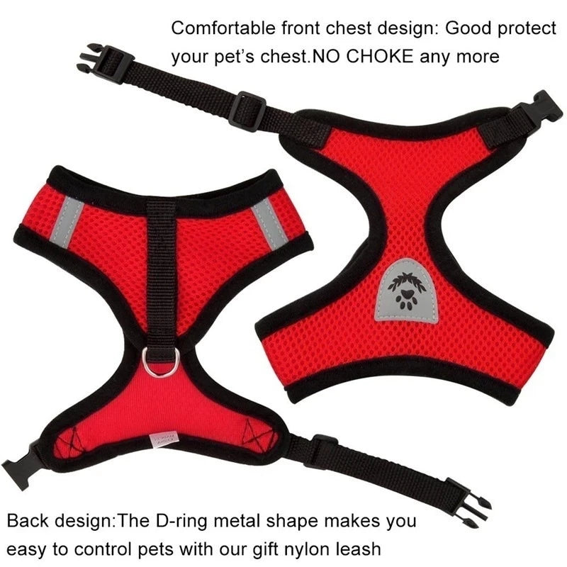 Comfortable Pet Harness Set