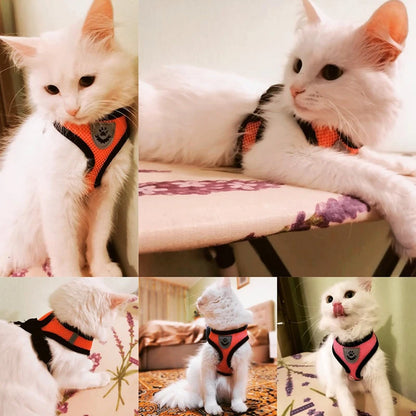 Comfortable Pet Harness Set