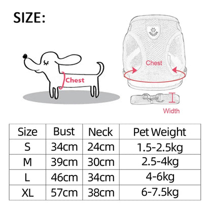 Comfortable Pet Harness Set