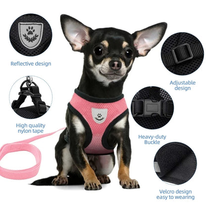 Comfortable Pet Harness Set