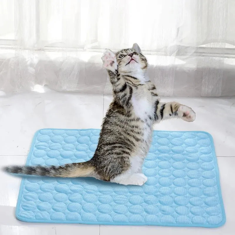 Cooling Pet Sleeping Pad